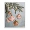 Stupell Industries Pink Hanging Christmas Ornaments Framed Giclee Design by Arlington Prints